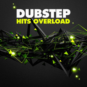 Dubstep Hits Overload album