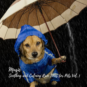 Music: Soothing and Calming Rain Tones for Pets Vol. 1 album