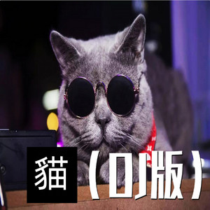 Y2002 - 貓 (Dj版)