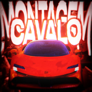 MONTAGEM CAVALO