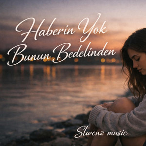 Haberin Yok Bunun Bedelinden by Slwcnz music