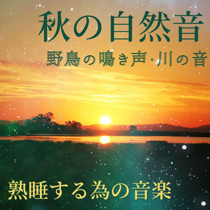 ★自然治癒力up音叉 285Hz ソルフェジオ周波数 リラクゼーション 瞑想 ★ 自然界の周波数432Hz・脳波の癒し，心も体もリラックスする