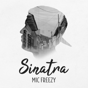 OK by Mic Freezy