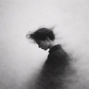 The Unsaid by Choi Yeolum