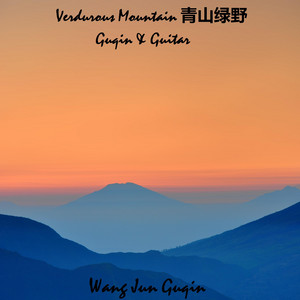 Verdurous Mountain 青山绿野 Guqin & Guitar by Wang Jun Guqin