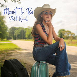 Meant To Be by Shiloh Woods