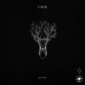 UNIK by Jey Vazz
