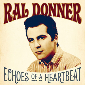 She's Everything by Ral Donner