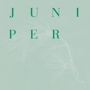 Juniper by Jack Wyllie