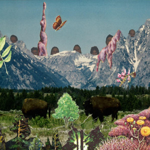 Only Love by We Are Wood