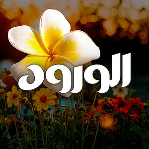 Yussef Zad - الورود