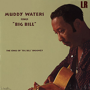 Big Sings Muddy Waters 洋楽 Bill Broonzy