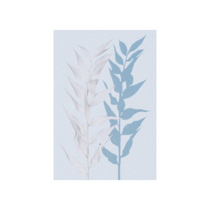 comfort - Medicine Wheel