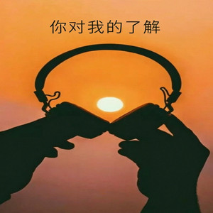 你对我的了解 DDJ 抖音版 by DJ Vibe-好听音乐