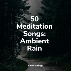 50 Meditation Songs: Ambient Rain album