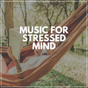 Music for Stressed Mind album