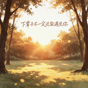 下辈子不一定还能遇见你 - DJ版伴奏 by 钟心妍