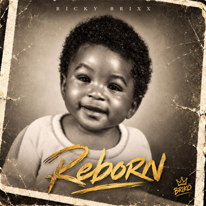 Passport - Radio Edit by Ricky Brixx