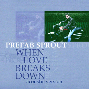 Precious Love ブレイク☆スルー CD THROUGH BREAK