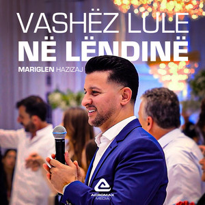 Mariglen Hazizaj - Vashez lule ne lendine