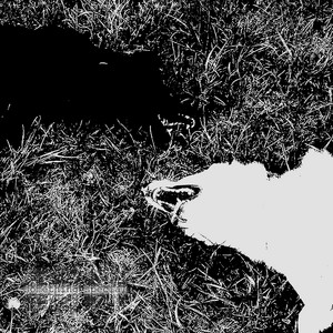 undead - Flesh Wound