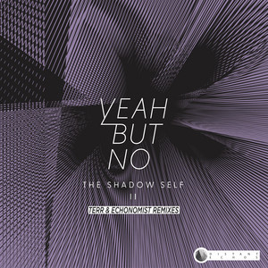 Veneer - Echonomist Remix by Yeah But No, The Shadow Self, Fabian Kuss, Echonomist