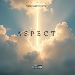 Aspect by EDU MARTINE$