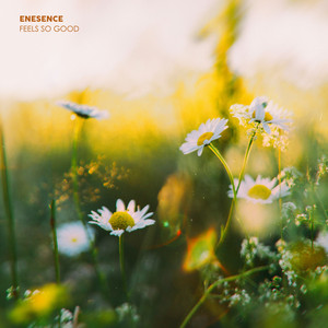Feels So Good by Enesence