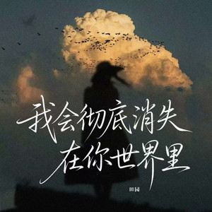 我会彻底消失在你世界里 by 田園