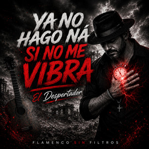 YA NO HAGO NÁ SI NO ME VIBRA by Flamenco sin filtros
