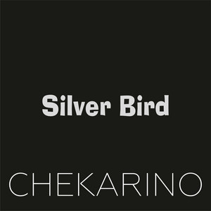 Silver Bird