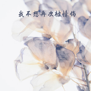 我不想再次被情伤 by 毛阿敏