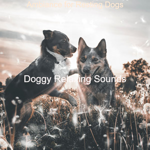 Ambiance for Resting Dogs album