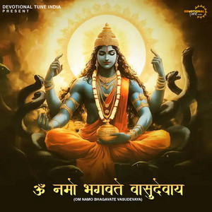Om Namo Bhagavate Vasudevaya