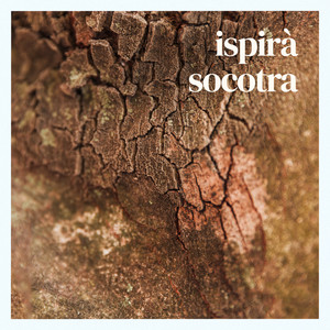 socotra by ispirà