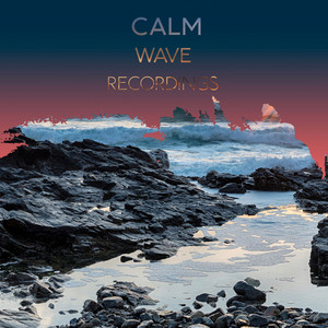 zZz Calm Wave Recordings zZz album
