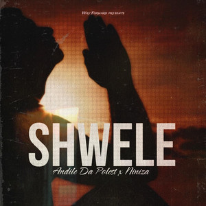 Shwele