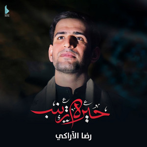ضلت زينب غريبه by رضا الآراكي