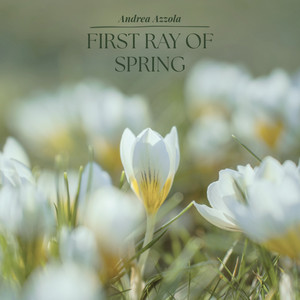 First ray of Spring by Andrea Azzola