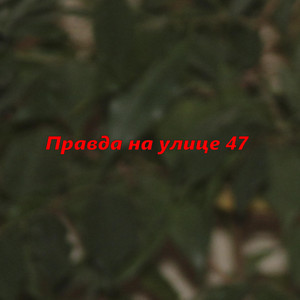 Правда на улице 47
