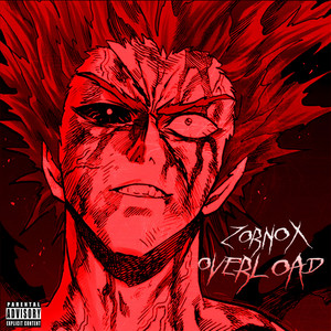 OVERLOAD