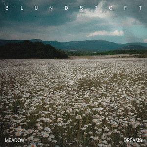 Meadow Dreams by Blundstoft