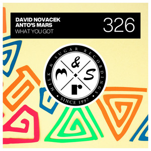 David Novacek — What You Got (2026)