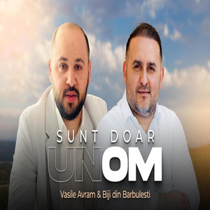 Vasile Avram & Biji Din Barbulesti - Sunt doar un Om