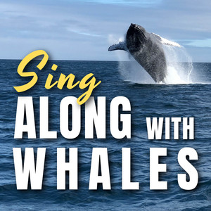 Sing along with Whales album