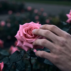 touch me, hush me. by Silent Wonder peak