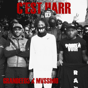 C EST HARR by Mvssimo, Grandee03