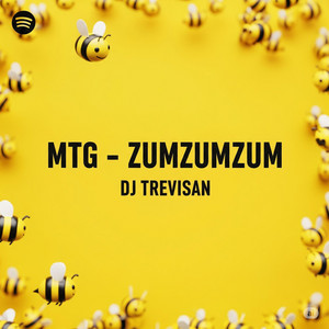 DJ Trevisan - MTG (ZUMZUMZUM)