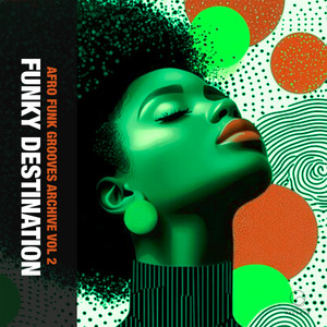 Looking For Soul Long by Funky Destination