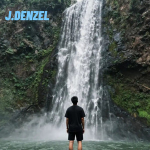 Looking the Life by J.DENZEL